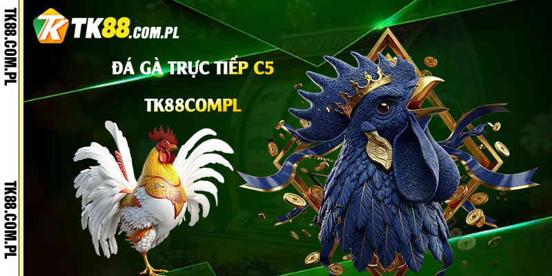 Đá-Gà-Trực-Tiếp-C5
