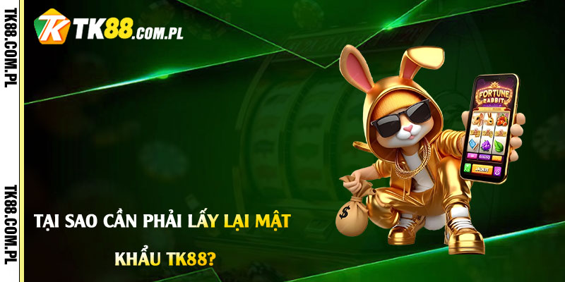 Lấy Lại Mật Khẩu Tk88 - Cập Nhật lại Mật Khẩu Mới Tk88 2 Tại Sao Cần Phải Lấy Lại Mật Khẩu Tk88?
